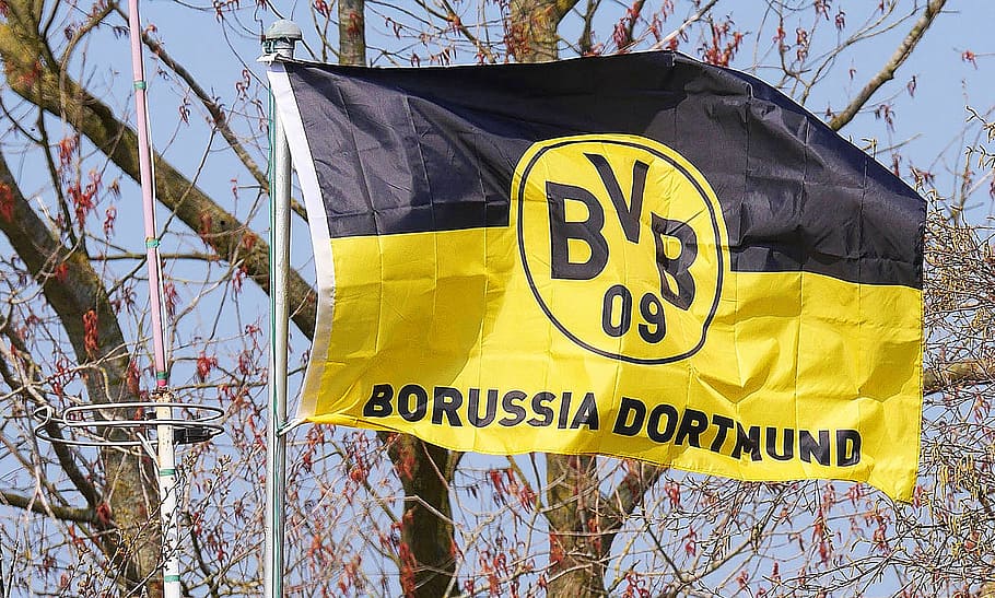 Borussia Dortmund Transfer Window Overview 2023/24